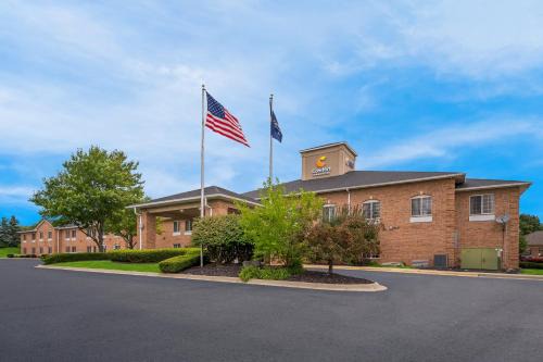 Fenton Hotel | Unwind at Comfort Inn & Suites: Pet-Friendly with Pool