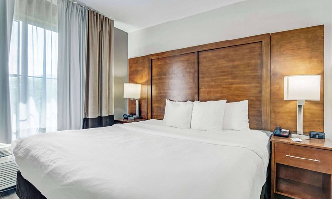 Lansing Hotel | Comfort Suites: Family-Friendly Stay with Pool & Spa