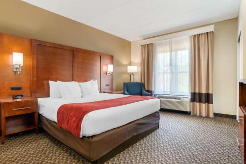 Tallahassee Hotel | Comfort Suites Tallahassee Downtown: Family & Pet Friendly Stay