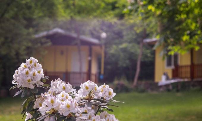 Kamena House | Cozy Bungalow for Two, Nestled in the Forest