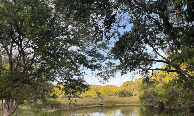 Hunt House | Comfortable Hill country retreat with private fishing pond & front porch swing!
