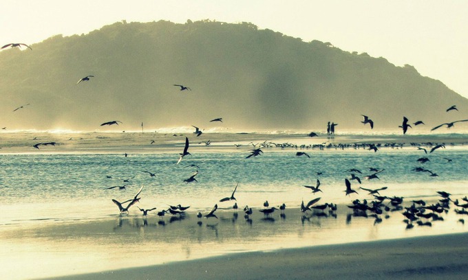 Barra de Ibiraquera House | Oceanfront Haven: Pet-Friendly with Wi-Fi at Ibiraquera Beach