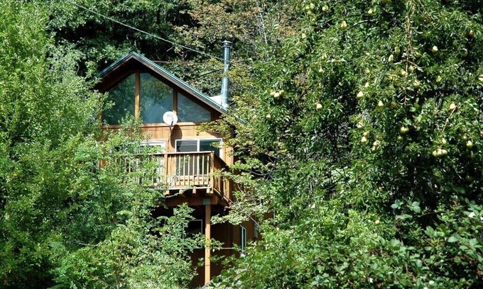 Sierra City Cabin | Cozy Cabin Retreat in Idyllic Mountain Town - Pet Friendly