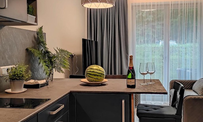 Juodkrante Apartment | Top-Rated Comfy Rest Apartments with Family & Pet Amenities