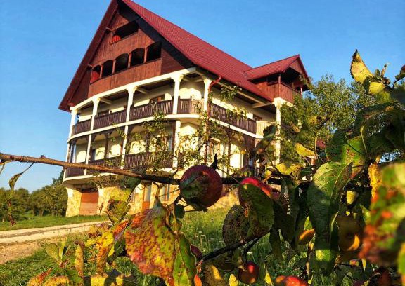 Ocna Sugatag House | Discover Conacul Lupilor: Pet-Friendly Stay with Breakfast