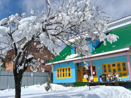 Srinagar House | Conifer view guest house