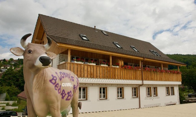 Niederweningen Bed & Breakfast | Top-Rated Conny's B&B: Ideal for Families with Kitchen