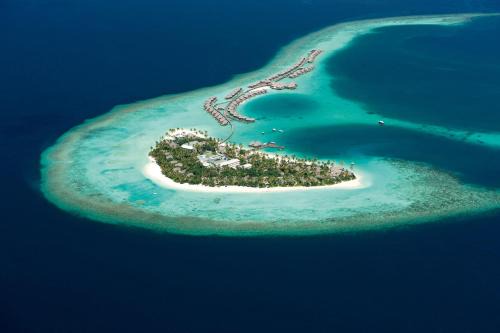 Halaveli Resort | Discover Constance Halaveli: 5-Star Oceanfront Escape