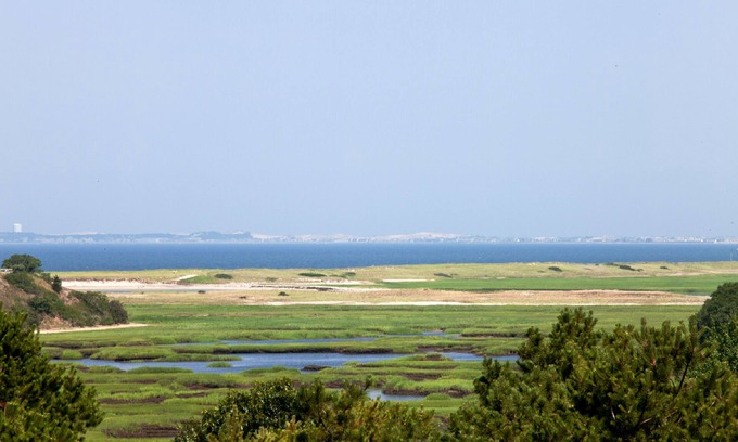 Wellfleet House | Serene Retreat with Ocean Views and Spa Amenities