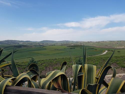 Naro House | Scenic Contrada Gibbesi with Pool and Oceanfront Views