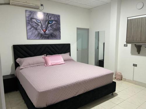 Arauca House | Inviting COOL HOUSE 24Horas: Pet-Friendly & Family-Ready