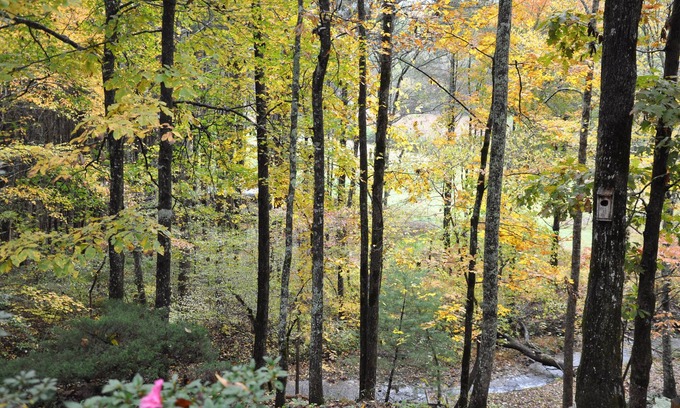 Blairsville House | Outstanding Coosa Home: Family-Friendly with a Kitchen