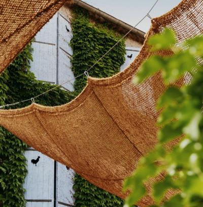 Cogolin Hotel | Coq Hotel: Pet-Friendly Oceanfront Retreat with Breakfast
