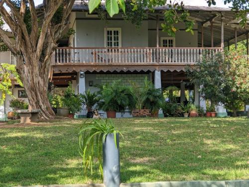 Panama Cabin | Discover Family-Friendly Comfort at Coquira Soil Project