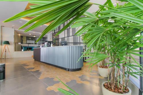 Petropolis Hotel | Pet-Friendly Coral Hotel Near PUCRS & Top Attractions