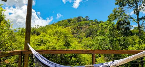 Santo Antonio do Pinhal Hotel | Beautiful Pousada Cores e Flores da Serra - Pet Friendly Stay