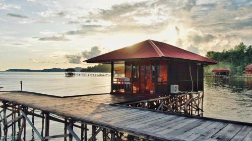 Raja Ampat Resort | Discover Coriana Dive Resort: Oceanfront Retreat Awaits