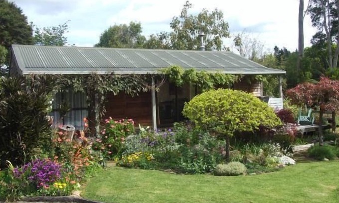 Coromandel Cottage | Pet-Friendly Coromandel Orchard Cottage with Ocean Views