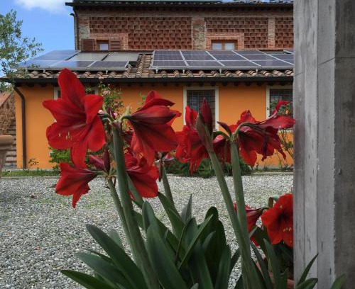 Capannori Bed & Breakfast | Inviting Corte Capitani: Pet-Friendly & Family Enjoyment