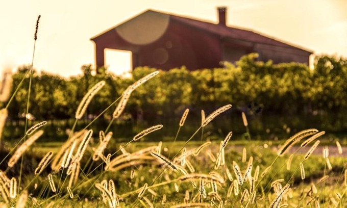Piove di Sacco House | Pet-Friendly CorteZecchina: Rated 9/10 by Guests!
