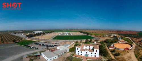 Carmona House | Experience Cortijo la Amazona: Pet-Friendly & Pool Access