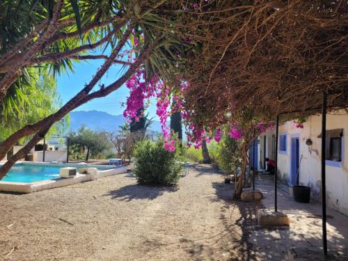 Los Gallardos House | Relax at Cortijo Las Gallardas - Oceanfront Retreat in Almería