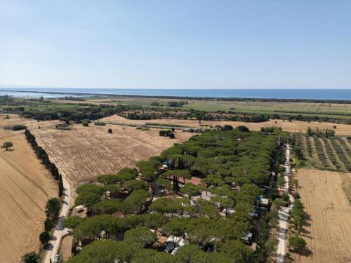 Capalbio Resort | Beachfront Bliss at Costa D'Argento - Camping Village Capalbio