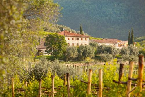 Gargagnago di Valpolicella Hotel | Explore Costa degli Ulivi: Pet-Friendly Oceanfront Retreat