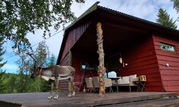 Sorreisa Cabin | Cozy Cabin with Hot Tub Near Bardufoss Airport & Senja