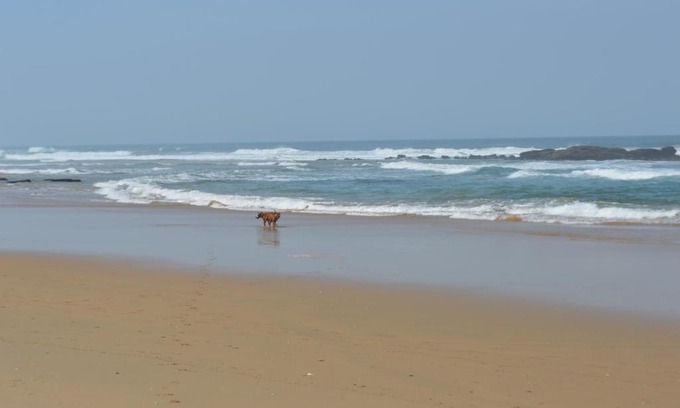 Sedgefield Apartment | Cozy Cottage: Family-Friendly Stay with 9.2 Rating