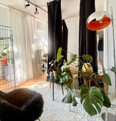 Wehlheiden Apartment | Cosy Sunset Flat - Kongress Palais & Herkules View