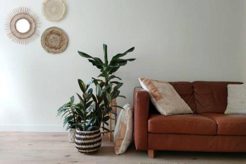 Lisse City Center Apartment | Charming Tiny House Near the Beach, Pet & Child Friendly