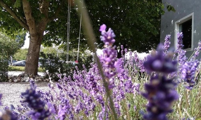 Kopingebro Apartment | CozyPlace: Ideal Retreat Near Beach and Nature