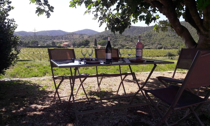 Bormes-Les-Mimosas House | Charming Cottage Amidst Vineyards, Steps from the Sea