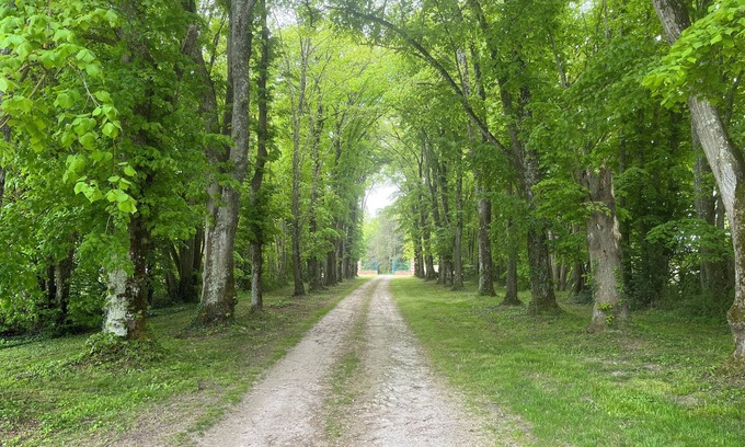 Princay Cottage | Tranquil Cottage Surrounded by Majestic Trees for Families