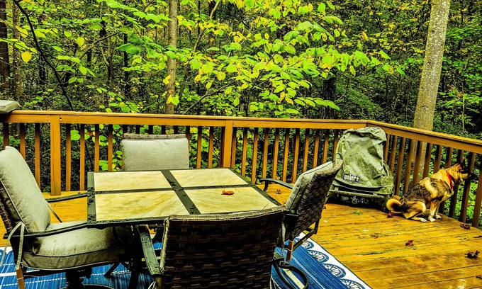 Gumlog House | Lake Hartwell Cottage: Cozy Fireplace & Scenic Dock Access