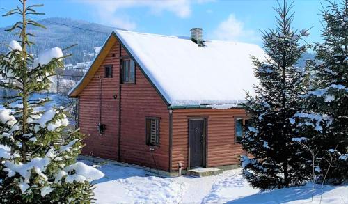 Yasinya Cabin | Experience Cottage Ozerniy: Pet Friendly with Hot Tub