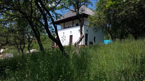 Campulung House | Pet-Friendly Cottage Poe with Ocean View & Private Beach