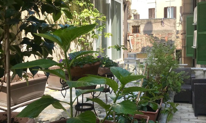 Rome City Centre Apartment | Discover Count Checco: A Rooftop Retreat Near the Pantheon