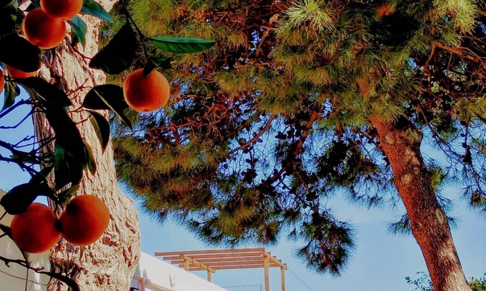 Patti Other | Country house flair with island views in Mongiove (Patti)