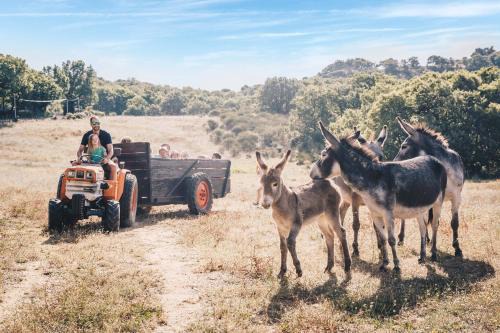 Octon Villa | Family-Friendly Retreat at Country Kids with Oceanfront Views