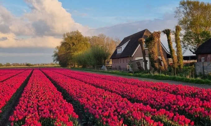t Zand House | Idyllic Country Life Holiday Residence with Family Amenities