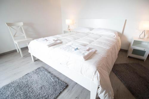Saliceto Panaro Bed & Breakfast | Discover Country Resort Modena: Pet-Friendly Retreat