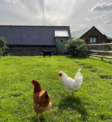 Lifton House | Idyllic Cottage Retreat with Hot Tub & Private Garden