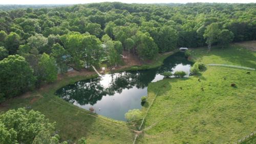 Bynum Other | Idyllic Countryside Getaway at Green Dome Retreat