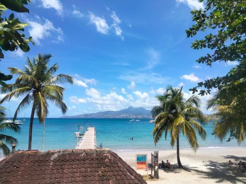 Trois-Ilets Apartment | Experience Oceanfront Comfort at Courbaril Village