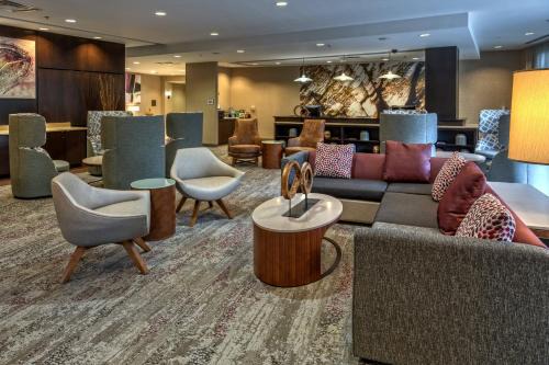 Central Newport News Hotel | Pet-Friendly Retreat at Courtyard Newport News Airport
