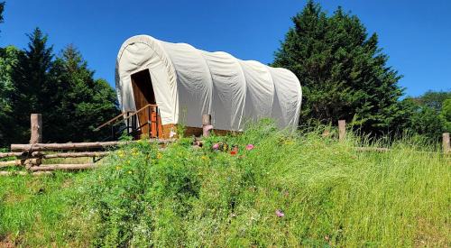 Lenoir Other | Discover Covered Wagons Hill Camp - WAGON 2: Family & Pet Friendly