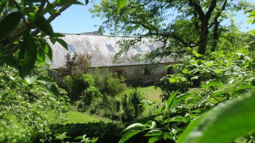 Pembroke Bed & Breakfast | Guest Rated 9.8: Experience The Old Cowshed Retreat