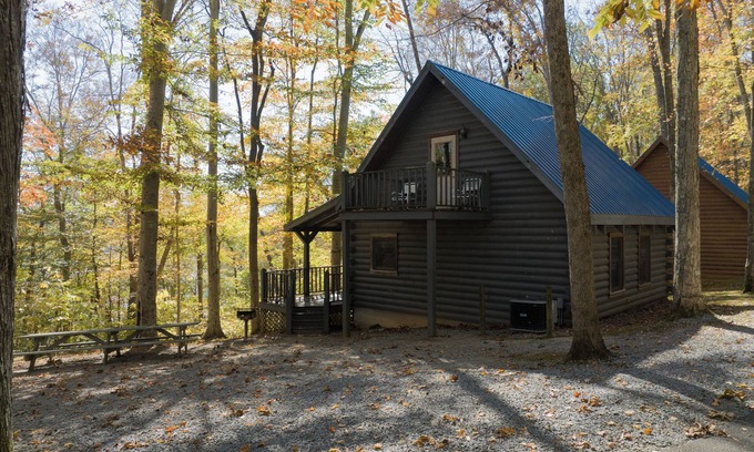 Jamestown Cabin | Charming 3 Bed Log Cabin at Jamestown Marina in Nature